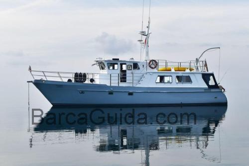 Seahorse 52 scheda tecnica e recensioni